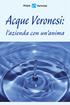 Acque Veronesi: l azienda con un anima