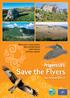 Save the Flyers. Progetto LIFE.  Misure per la conservazione della chirotterofauna e dell avifauna nell Italia centrale LIFE