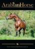 Fazenda Fontanella. Since 1990 I have been breeding arabian horses. Allevo cavalli arabi dal 1990 dedicando 25 anni INTERVIEW TO GIUSEPPE FONTANELLA
