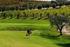 FEDERAZIONE ITALIANA GOLF Riconoscimento ambientale per i percorsi di golf IMPEGNATI NEL VERDE