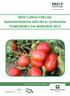 Rete Colture Orticole Sperimentazione orticola in Lombardia POMODORO DA INDUSTRIA 2012