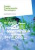 REPERTORIO BEST PRACTICES PSR 2007/2013 PROVINCIA DI LUCCA ALTOPASCIO BLUMEN. Innovazione: ambiente e qualità del prodotto