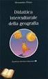 Geografia interculturale