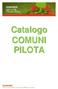 Pilot community: ADZANETA DEL MAESTRAT (Atzeneta del Maestrat) SPAGNA Popolazione: (2007)