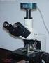 10. Strumenti Ottici e Microscopi Microscopi/Vetrini