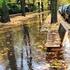 Le precipitazioni intense in Lombardia