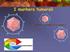 De-regolazione del ciclo cellulare nei tumori umani