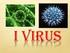 Coltivazione dei Virus