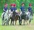 CAMPIONATO SARDO PONY 2006