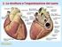 IL CUORE - Arterie e vene - Fisiologia - Anatomia Salute e Benessere Inviato da : Dott. Giuseppe De Cicco Pubblicato il : 12/11/2016 8:30:00