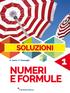 SOLUZIONI. M. Cerini - R. Fiamenghi NUMERI E FORMULE. Trevisini Editore