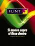 FLINT, NUOVO FUNGICIDA