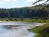 ENTE PARCO NAZIONALE DELL APPENNINO LUCANO VAL D AGRI LAGONEGRESE Direzione Generale Area Natura e Pianificazione