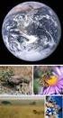 Studio scientifico delle interazioni tra gli organismi ed il loro ambiente (Haeckel)