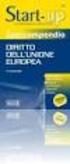 L adattamento del diritto interno al diritto comunitario dopo il trattato di Lisbona