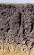 1) in terreni costituiti da argille, limi, sabbie, ghiaie, detriti e alluvioni anche contenenti elementi lapidei di qualsiasi