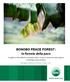 BONOBO PEACE FOREST: la foresta della pace