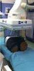 Autoradiografia neutronica di tessuti polmonari umani irradiati presso LINAC ospedalieri con metodi di BNCT(Boron Neutron Capture Therapy)