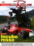 Incubo rosso GP AUSTRIA