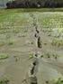 Fenomeni di liquefazione per il terremoto della pianura padana-emiliana del maggio 2012