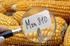Programma di controllo sulla presenza di OGM nelle sementi di mais e soia