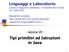 Linguaggi e Laboratorio. Tipi primitivi ed Istruzioni in Java