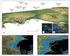 Analisi del rischio tsunami applicata ad un tratto della costa Ligure
