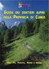 con d.g.r. 29 giugno 2015 n , la Regione Piemonte approvava il Programma regionale di cofinanziamento in risposta al suddetto Avviso;