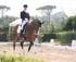 CONCORSO NAZIONALE DI DRESSAGE TIPO A Giugno 2013