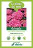 Come e perché scegliere l ortensia Suggerimenti per la cura Trucchi e segreti degli esperti I consigli verdi di