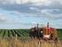 Il 6 Censimento generale dell agricoltura fotografa la struttura delle aziende