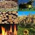 Le biomasse utilizzabili a scopo energetico