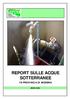 REPORT SULLE ACQUE SOTTERRANEE
