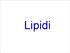 Aspetti generali. Caratteristiche: I lipidi, anche detti grassi, sono composti ternari C, H, O (possono contenere anche P, N)