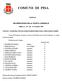 COMUNE DI PISA ORIGINALE DELIBERAZIONE DELLA GIUNTA COMUNALE. Delibera n. 222 Del 19 Novembre 2010