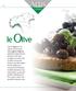 PRODOTTO 100% ITALIANO. Olive Taggiasche denocciolate in olio extravergine di oliva. Formato Vaso vetro Kg 1