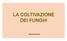 LA COLTIVAZIONE DEI FUNGHI. Patrizia Brenna 2016