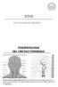 ICTUS. Corso Emergenze Mediche FISIOPATOLOGIA DEL CIRCOLO CEREBRALE