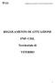 REGOLAMENTO DI ATTUAZIONE FNP- CISL. Territoriale di VITERBO