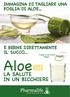 IMMAGINA DI TAGLIARE UNA FOGLIA DI ALOE... E BERNE DIRETTAMENTE IL SUCCO... Prodotti certificati ivegan. Aloe 100% LA SALUTE IN UN BICCHIERE