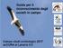 Guida per il riconoscimento degli uccelli in campo. Campo studi ornitologici 2017 accura al Lanario 3.0