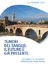 24 novembre 2017 TUMORI DEL SANGUE: IL FUTURO È GIÀ PRESENTE. Aula Magna G. De Sandre Policlinico G.B. Rossi, Verona