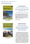 Dolomiti di Brenta delle Dolomiti PUBBLICAZIONI DI ROBERTO CIRI. In via di realizzazione: Guida escursionistica e alpinistica a 150 cime