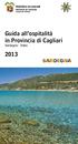 Guida all ospitalità in Provincia di Cagliari Sardegna - Italia