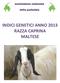 INDICI GENETICI ANNO 2013 RAZZA CAPRINA MALTESE