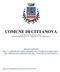 COMUNE DI CITTANOVA Citta Metropolitana Reggio Calabria Partita IVA Tel. (0966) fax (0966)