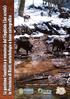 La gestione faunistica e venatoria del Cinghiale (Sus scrofa) in Provincia di Rieti: metodologie e base cartografica