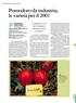 Pomodoro da industria, le varietà per il 2001