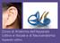 Corso di Anatomia dell Apparato Uditivo e Vocale e di Neuroanatomia. Apparato uditivo