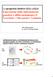 Le proprietà elettive della cellula: Espressione della informazione genetica e differenziamento II Trascrizione- Codice genetico- Traduzione